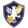 巴西复古青年队